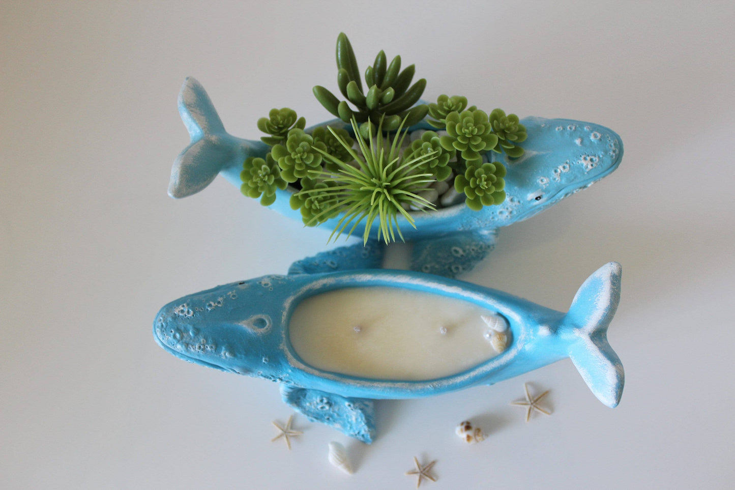 Whale Candle