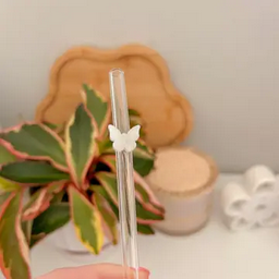 Reusable Glass Straws