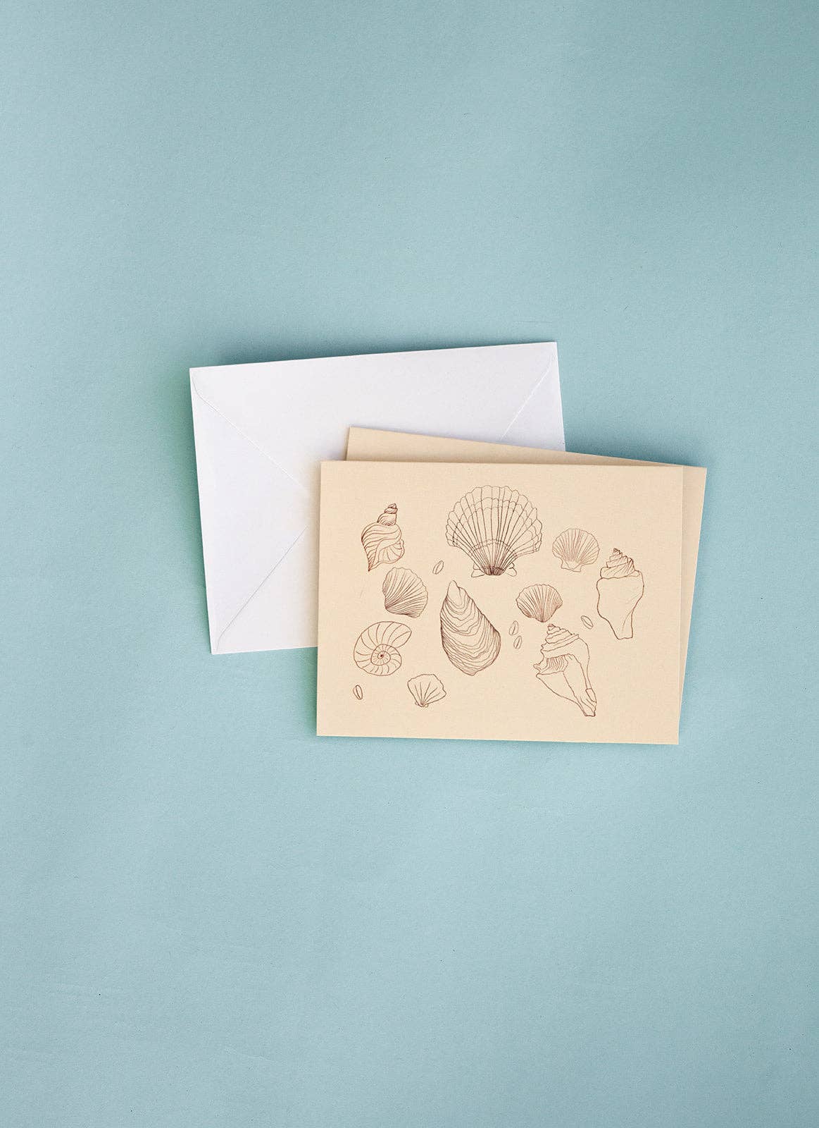 Shell Greeting Card (Blank Interior)