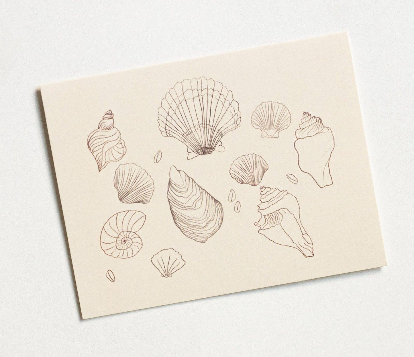 Shell Greeting Card (Blank Interior)