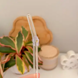 Reusable Glass Straws
