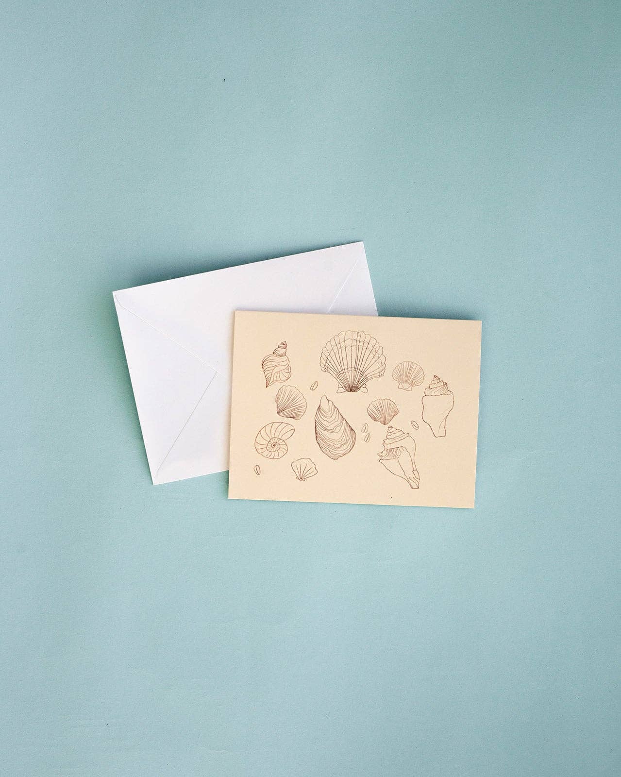 Shell Greeting Card (Blank Interior)